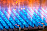 Bierton gas fired boilers